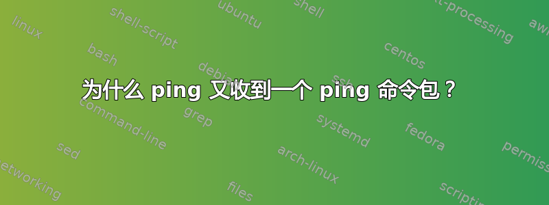 为什么 ping 又收到一个 ping 命令包？