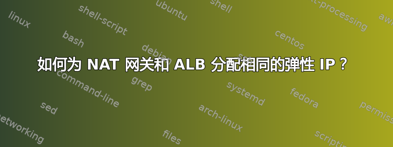 如何为 NAT 网关和 ALB 分配相同的弹性 IP？