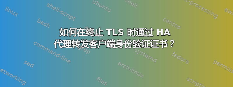 如何在终止 TLS 时通过 HA 代理转发客户端身份验证证书？