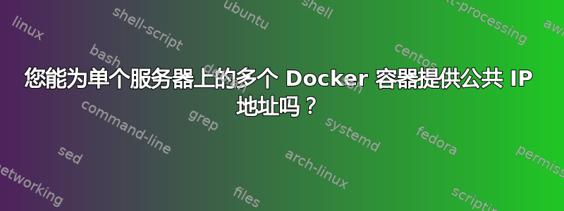 您能为单个服务器上的多个 Docker 容器提供公共 IP 地址吗？