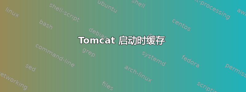 Tomcat 启动时缓存