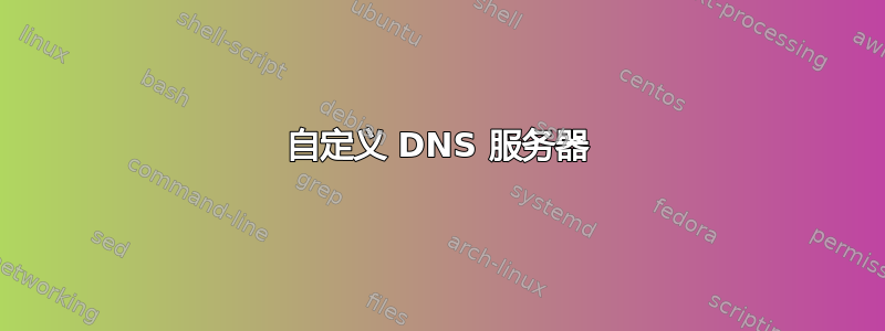 自定义 DNS 服务器