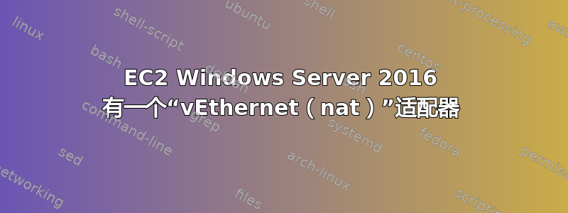 EC2 Windows Server 2016 有一个“vEthernet（nat）”适配器