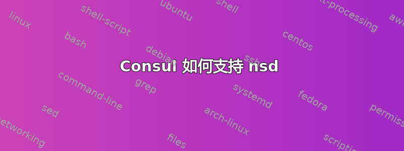 Consul 如何支持 nsd