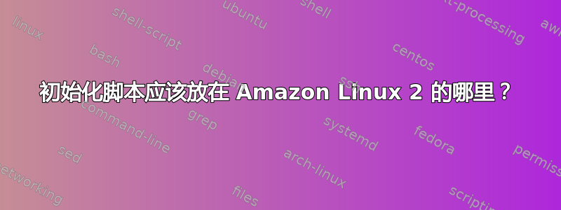 初始化脚本应该放在 Amazon Linux 2 的哪里？