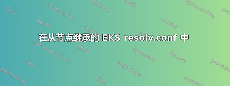 在从节点继承的 EKS resolv.conf 中