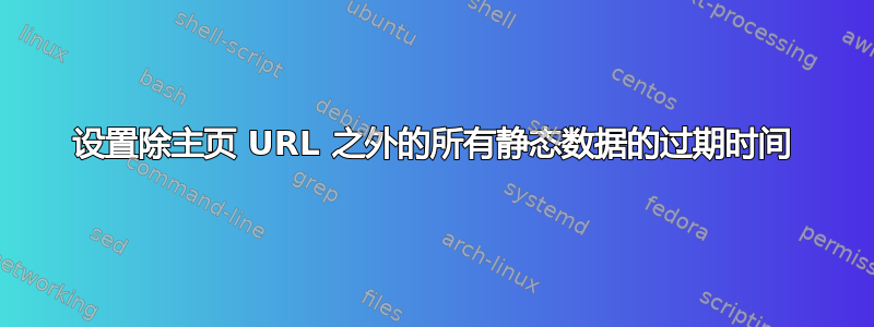 设置除主页 URL 之外的所有静态数据的过期时间