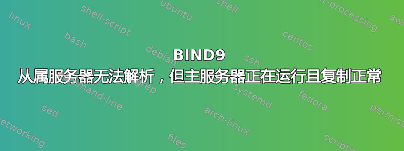 BIND9 从属服务器无法解析，但主服务器正在运行且复制正常