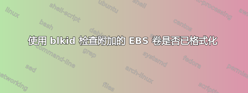 使用 blkid 检查附加的 EBS 卷是否已格式化