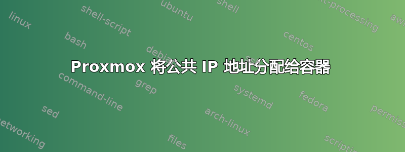 Proxmox 将公共 IP 地址分配给容器