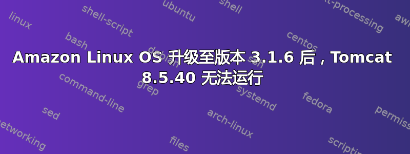 Amazon Linux OS 升级至版本 3.1.6 后，Tomcat 8.5.40 无法运行
