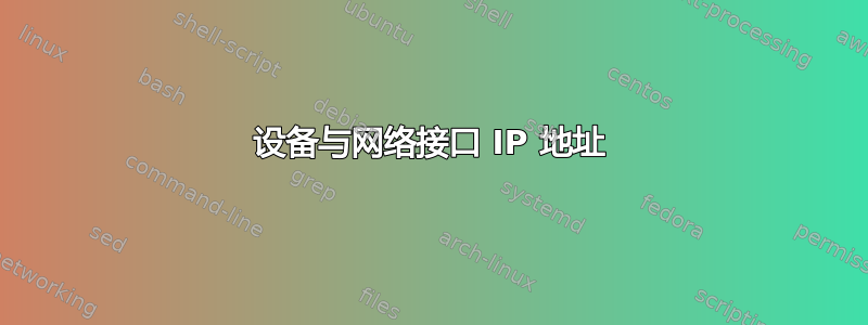 设备与网络接口 IP 地址