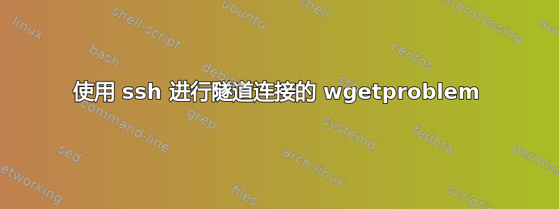 使用 ssh 进行隧道连接的 wgetproblem