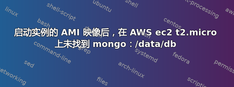 启动实例的 AMI 映像后，在 AWS ec2 t2.micro 上未找到 mongo：/data/db