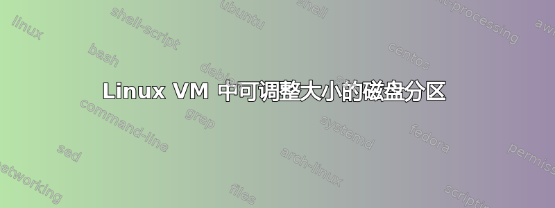 Linux VM 中可调整大小的磁盘分区