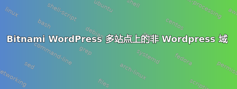 Bitnami WordPress 多站点上的非 Wordpress 域