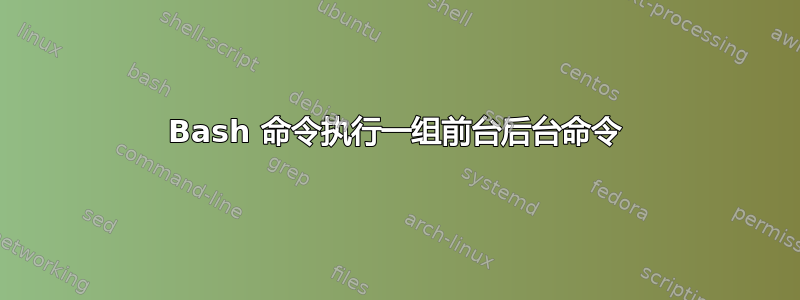 Bash 命令执行一组前台后台命令