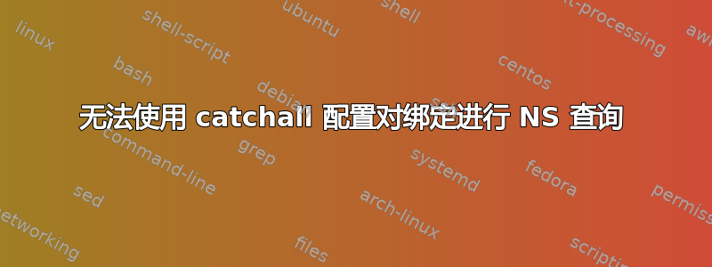 无法使用 catchall 配置对绑定进行 NS 查询