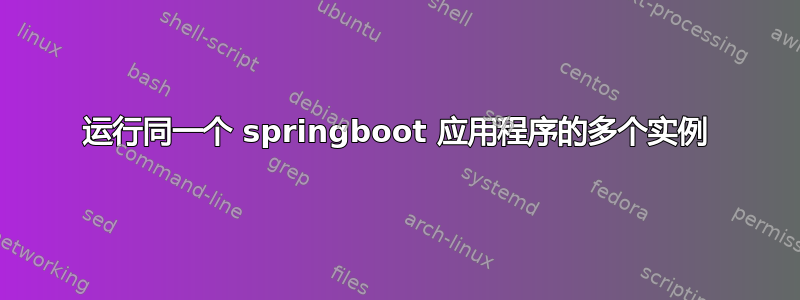 运行同一个 springboot 应用程序的多个实例