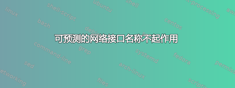 可预测的网络接口名称不起作用