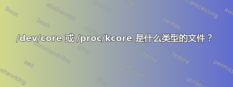 /dev/core 或 /proc/kcore 是什么类型的文件？