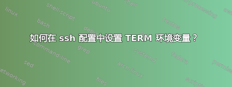 如何在 ssh 配置中设置 TERM 环境变量？