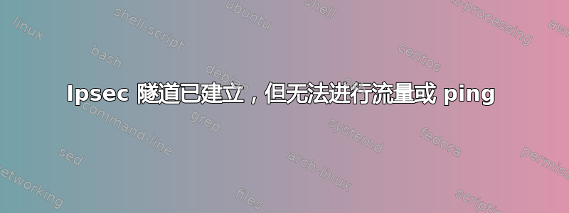 Ipsec 隧道已建立，但无法进行流量或 ping