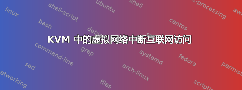 KVM 中的虚拟网络中断互联网访问