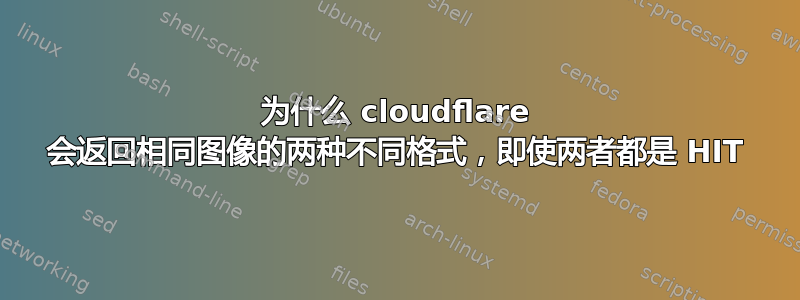 为什么 cloudflare 会返回相同图像的两种不同格式，即使两者都是 HIT