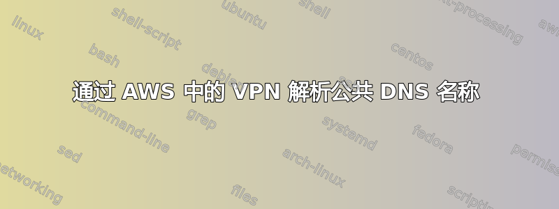 通过 AWS 中的 VPN 解析公共 DNS 名称