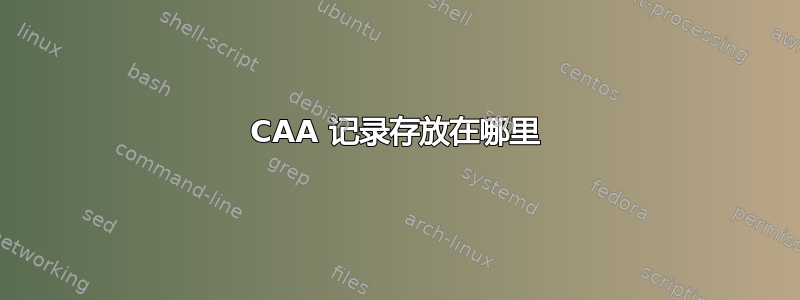 CAA 记录存放在哪里