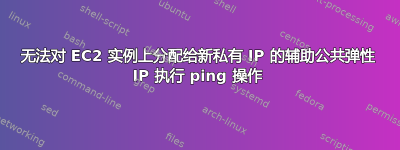 无法对 EC2 实例上分配给新私有 IP 的辅助公共弹性 IP 执行 ping 操作