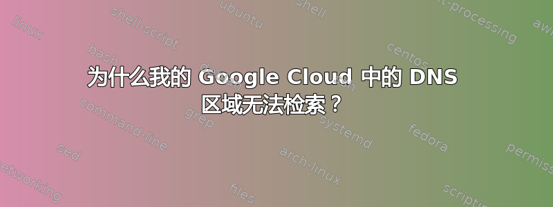 为什么我的 Google Cloud 中的 DNS 区域无法检索？