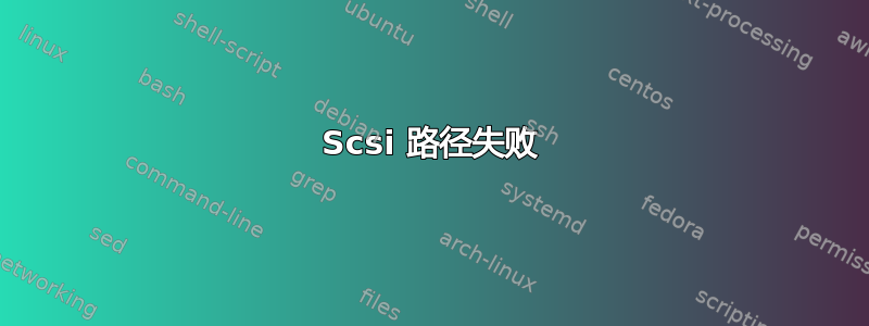 Scsi 路径失败