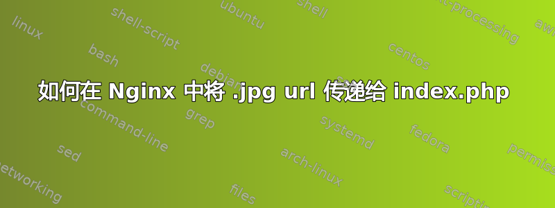 如何在 Nginx 中将 .jpg url 传递给 index.php