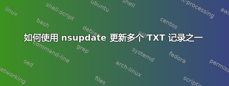 如何使用 nsupdate 更新多个 TXT 记录之一