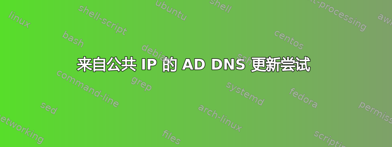 来自公共 IP 的 AD DNS 更新尝试