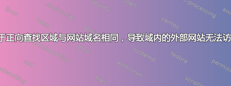 由于正向查找区域与网站域名相同，导致域内的外部网站无法访问