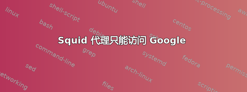 Squid 代理只能访问 Google