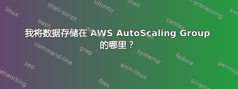 我将数据存储在 AWS AutoScaling Group 的哪里？