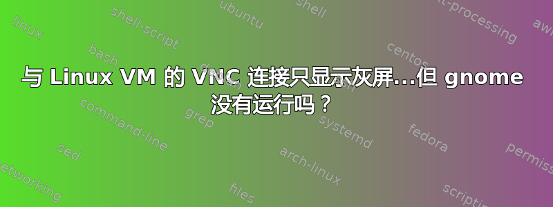 与 Linux VM 的 VNC 连接只显示灰屏...但 gnome 没有运行吗？