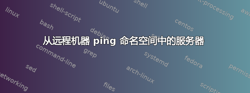 从远程机器 ping 命名空间中的服务器