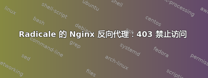 Radicale 的 Nginx 反向代理：403 禁止访问