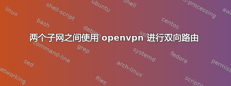 两个子网之间使用 openvpn 进行双向路由