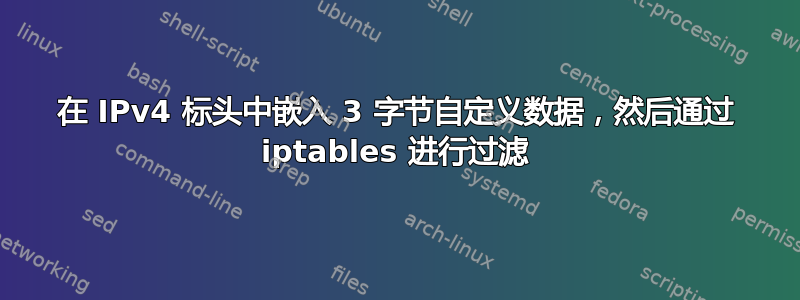 在 IPv4 标头中嵌入 3 字节自定义数据，然后通过 iptables 进行过滤