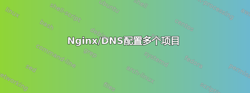 Nginx/DNS配置多个项目