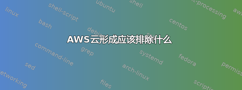 AWS云形成应该排除什么