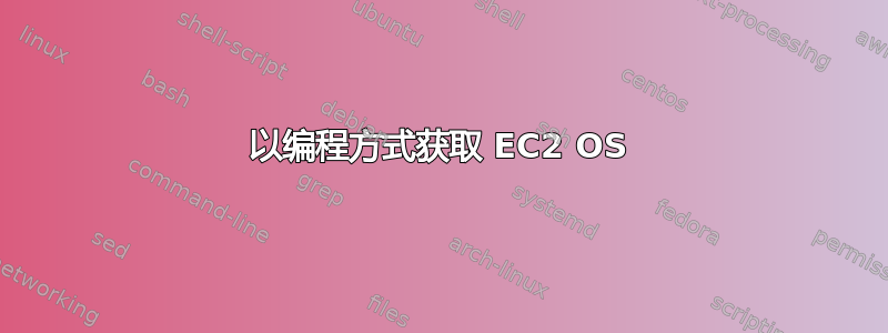 以编程方式获取 EC2 OS