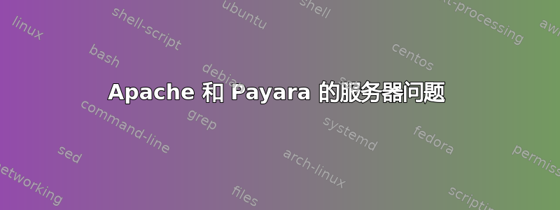 Apache 和 Payara 的服务器问题