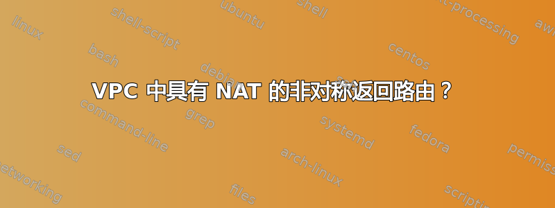 VPC 中具有 NAT 的非对称返回路由？